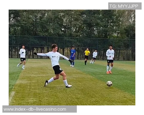 大连体育场激情四溢足球比赛盛况回顾与精彩瞬间分享